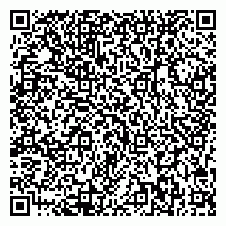 vCard 79713002879