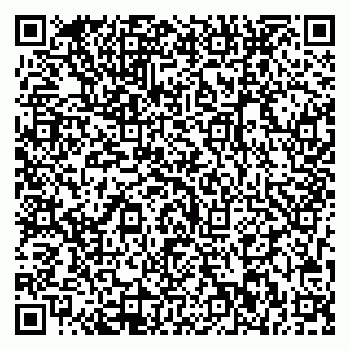 vCard 79713002883