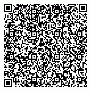 vCard 79713002887