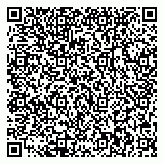 vCard 79713002901
