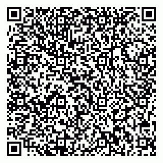 vCard 79713002907