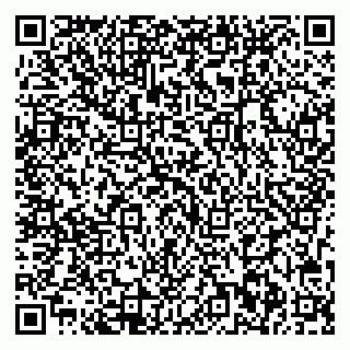vCard 79713002918