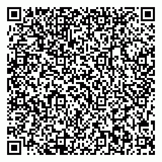 vCard 79713002919