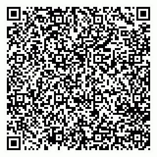 vCard 79713002931