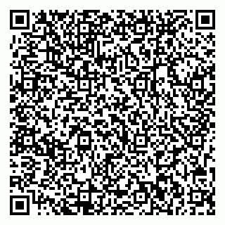 vCard 79713002933