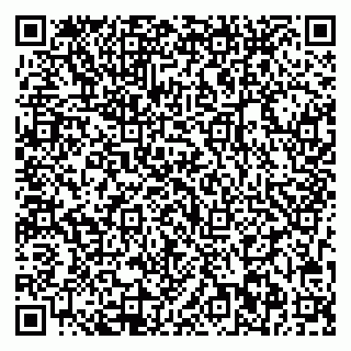 vCard 79713002939