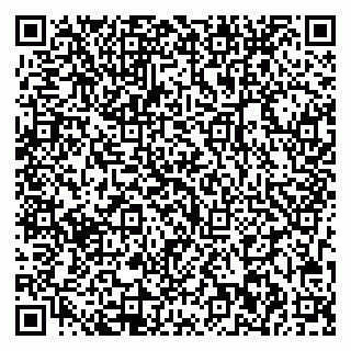 vCard 79713002940