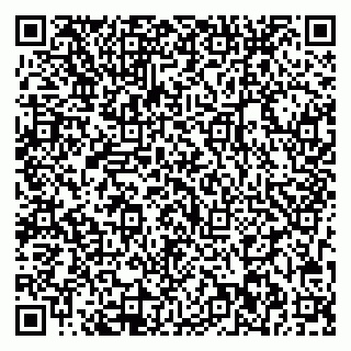 vCard 79713002941
