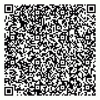 vCard 79713002953