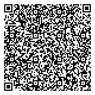 vCard 79713002958
