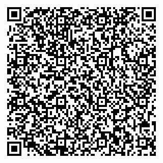 vCard 79713002961