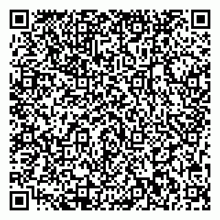 vCard 79713002963