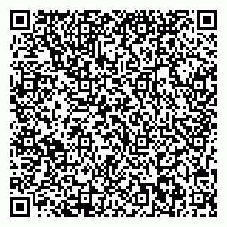 vCard 79713002969