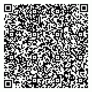 vCard 79713002979