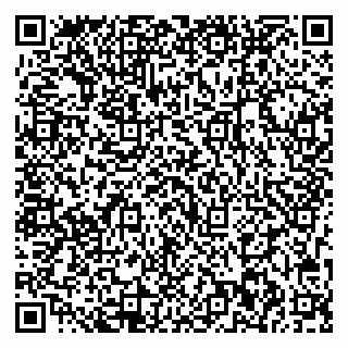 vCard 79713002980