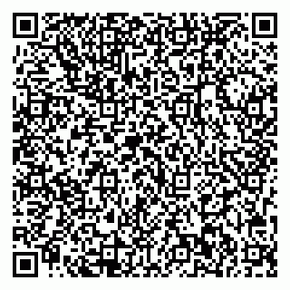 vCard 79713002984