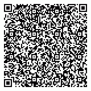 vCard 79713002985