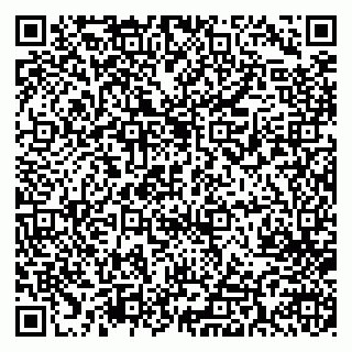 vCard 79713002987