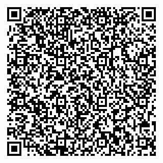 vCard 79713002993