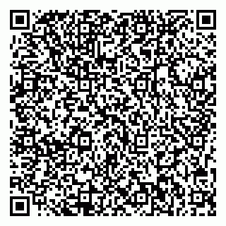 vCard 79713002995