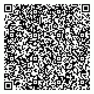 vCard 79713003002