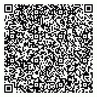 vCard 79713003003