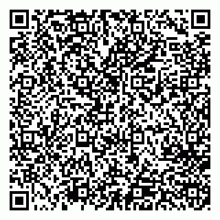 vCard 79713003018