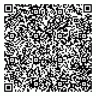 vCard 79713003021