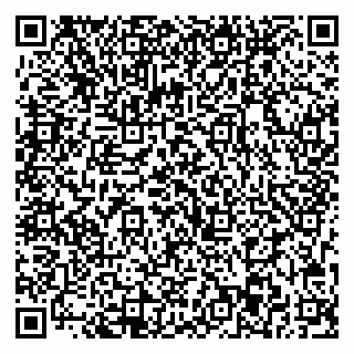 vCard 79713003031