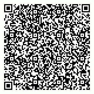 vCard 79713003045