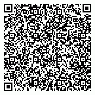 vCard 79713003077