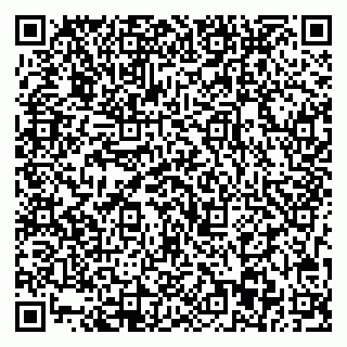 vCard 79713003088