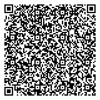 vCard 79713003105