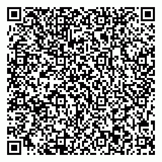 vCard 79713003131