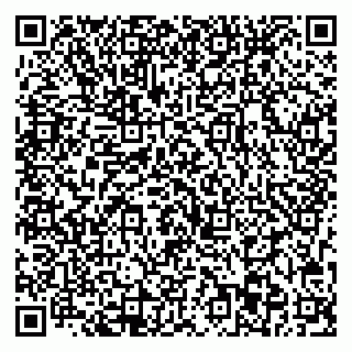vCard 79713003159