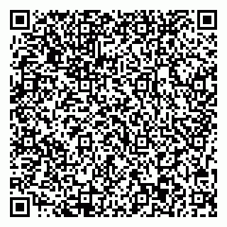 vCard 79713003174