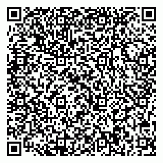 vCard 79713004007