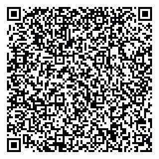 vCard 79713004033