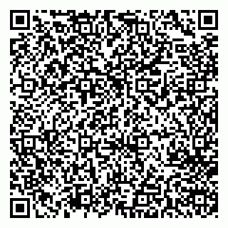 vCard 79713004063