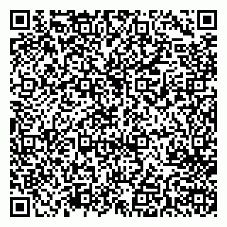 vCard 79713004083