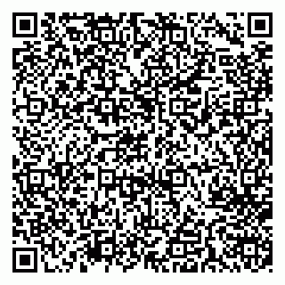 vCard 79713004096