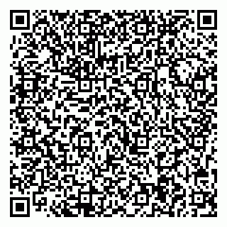 vCard 79713004100