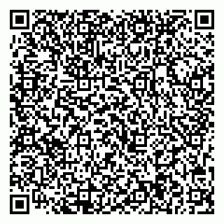 vCard 79713004103