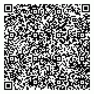 vCard 79713004105