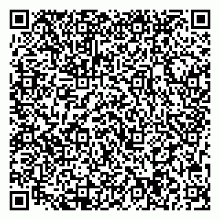 vCard 79713004303