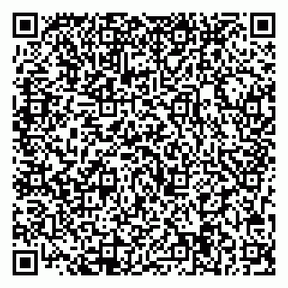 vCard 79713004305