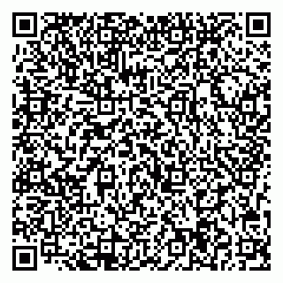 vCard 79713004331