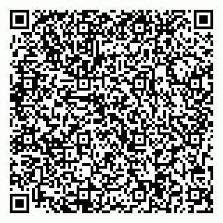 vCard 79713004351