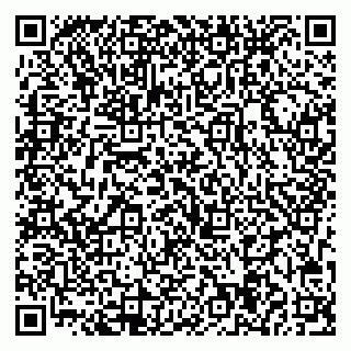 vCard 79713004352