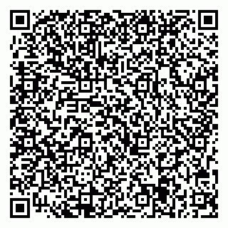 vCard 79713005205